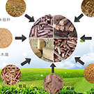 農(nóng)村經(jīng)濟綜合管理