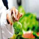 食品生物工藝專業(yè)