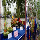 觀光農(nóng)業(yè)經(jīng)營專業(yè)