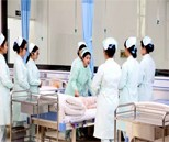 護理專業(yè)