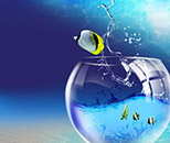 產品藝術設計專業(yè)（限招美術與設計類）