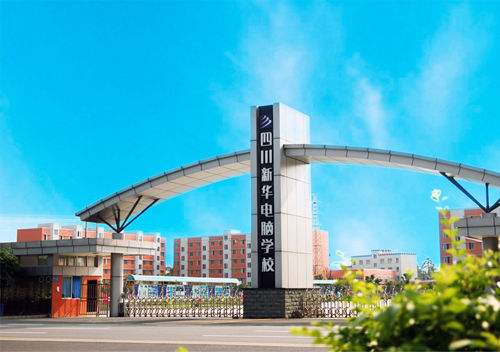 四川新華電腦學校2019年各專業(yè)招生簡介