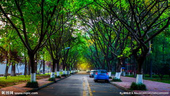 2019成都藝術(shù)教育學(xué)校排行榜