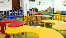 小學(xué)教育專(zhuān)業(yè)