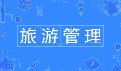 旅游管理專業(yè)