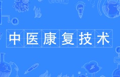 中醫(yī)康復技術(shù)