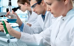 生物技術(shù)及應(yīng)用專業(yè)