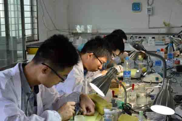 2019文物保護(hù)技術(shù)專業(yè)就業(yè)分析