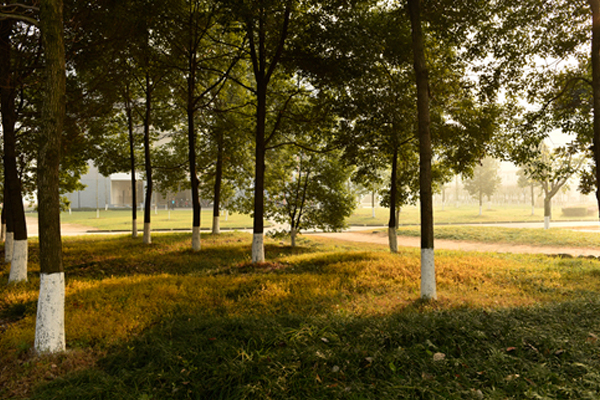 學校環(huán)境 學校環(huán)境