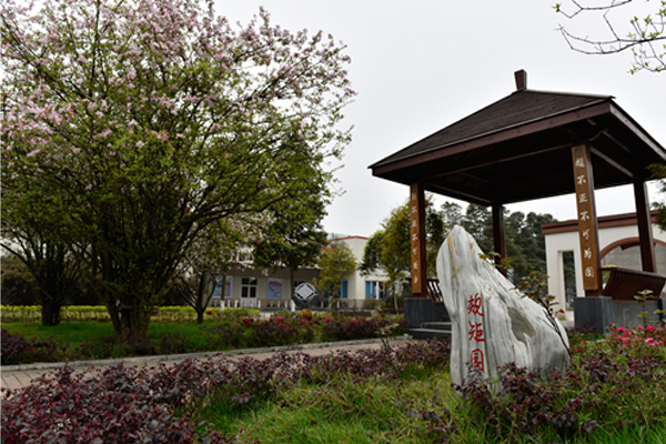 學校環(huán)境 學校環(huán)境