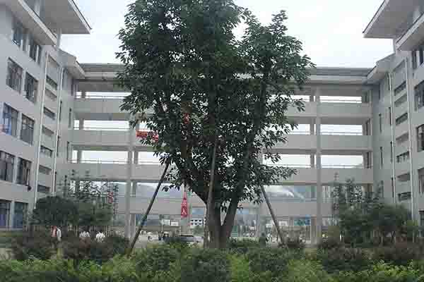 高職招生 高職招生