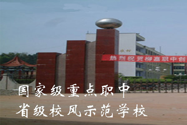 宜賓職業(yè)中學