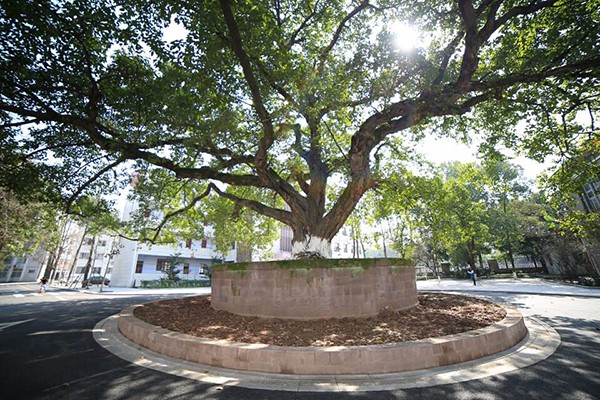 宜賓職業(yè)技術(shù)學(xué)院 宜賓職業(yè)技術(shù)學(xué)院