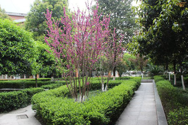 眉山職高招生 眉山職高招生