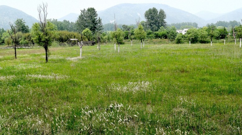 龍泉湖景區(qū)