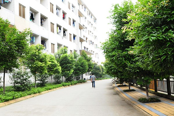 職業(yè)學(xué)校怎么樣