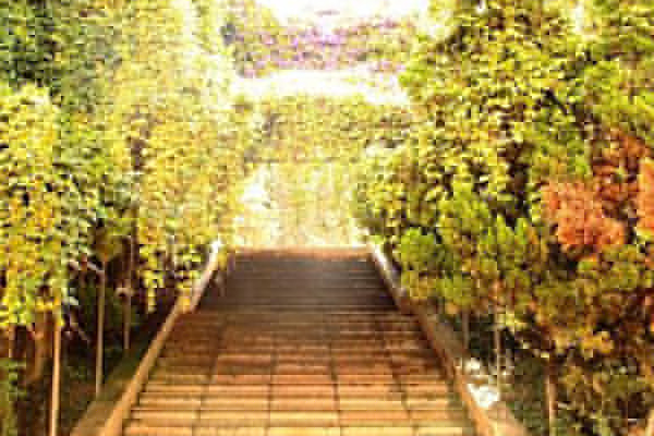 昆明高級(jí)技工學(xué)校 昆明高級(jí)技工學(xué)校