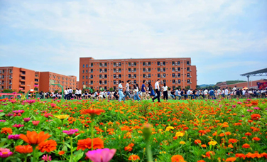 學(xué)校環(huán)境側(cè)邊