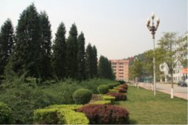 綿陽職業(yè)學(xué)校哪些好