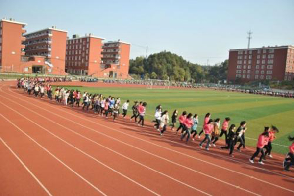 有哪些專業(yè)