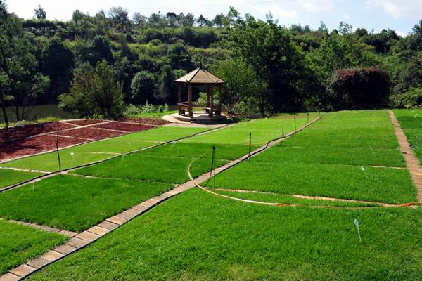 昆明職業(yè)學(xué)院