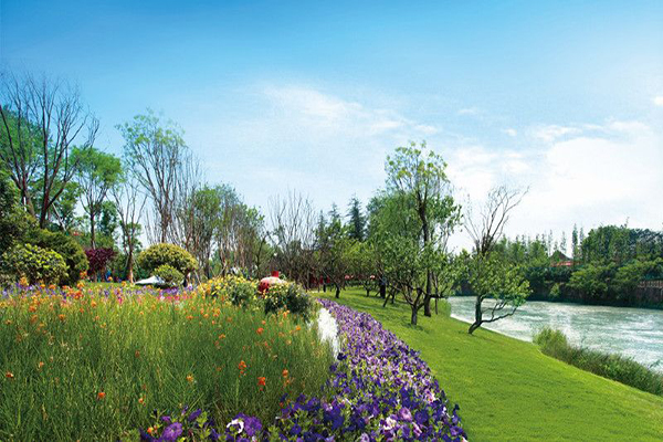 職校學(xué)什么專業(yè)好