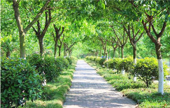 川大科技園職業(yè)技能學(xué)院是公辦嗎