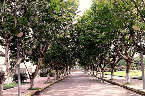 德陽職高學校 德陽職高學校