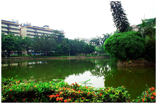 攀枝花職業(yè)學(xué)校排名 攀枝花職業(yè)學(xué)校排名